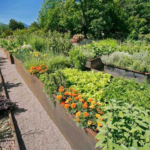 Gemüse- und Kräutergarten