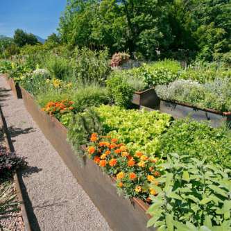 Gemüse- und Kräutergarten