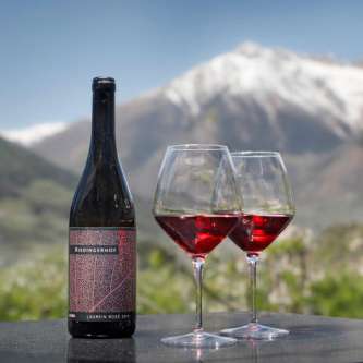 Lagrein – Bio Weingut Riedingerhof Meran