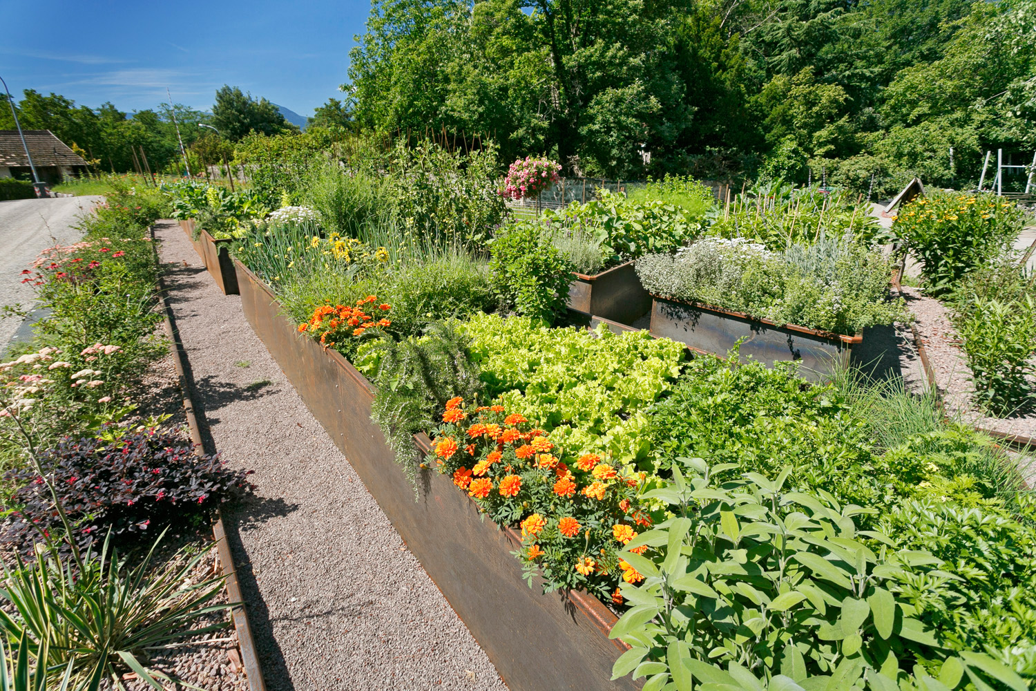 Garten mit Hochbeeten - Kräutern