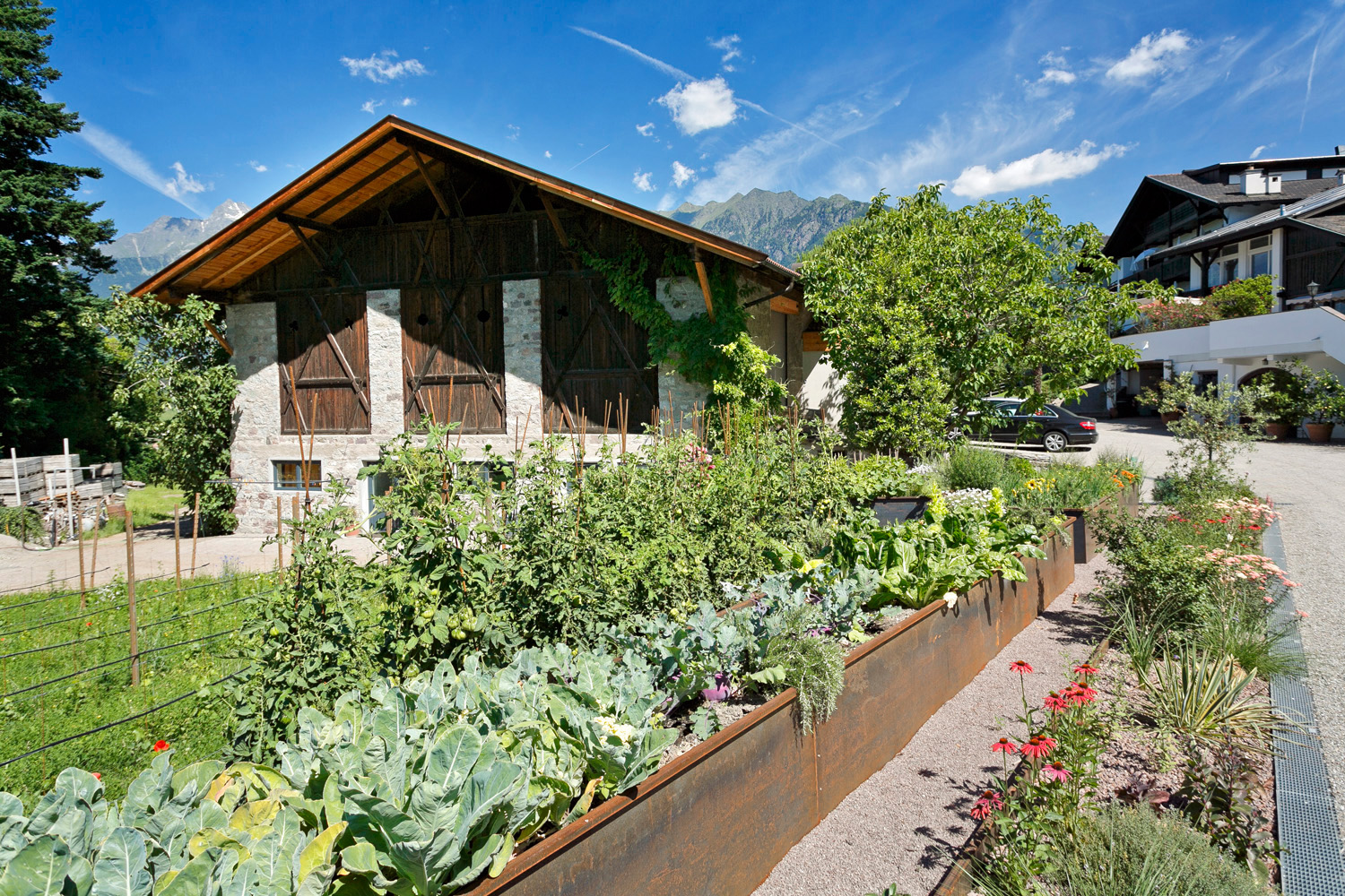 Gemüsegarten