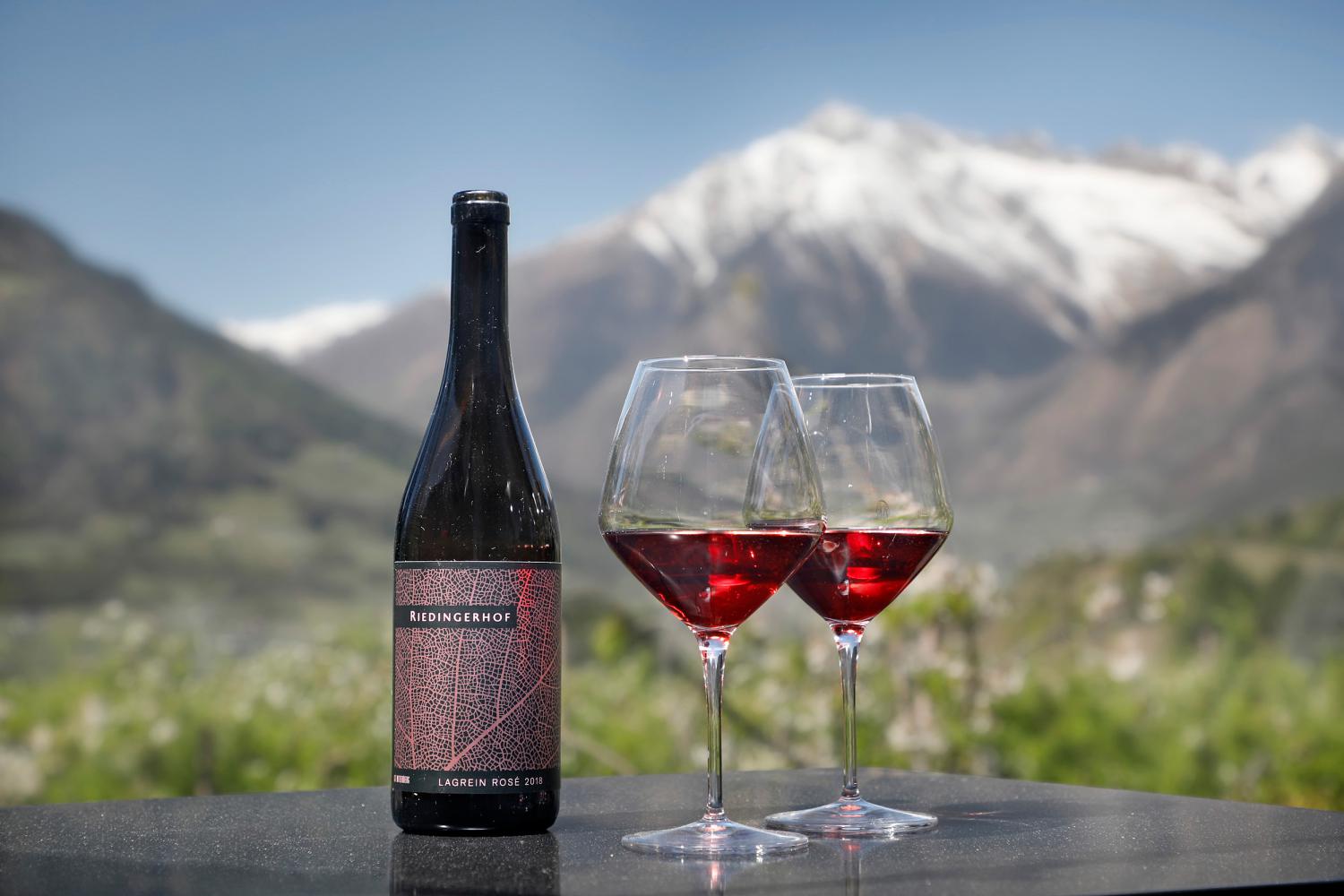 Riedingerhof -Bio-Weine aus Südtirol